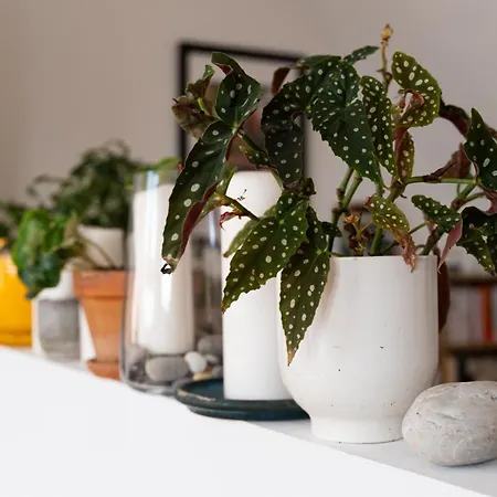 Apartament Hyper Centre - Balcon *