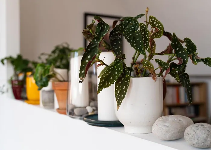 Apartament Hyper Centre - Balcon *